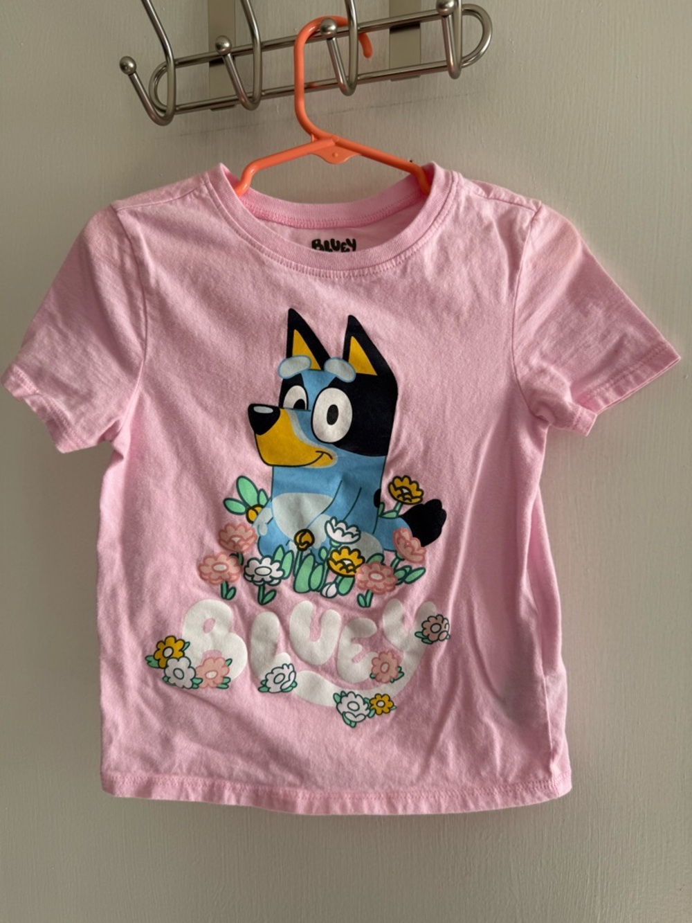 Bluey Pink Graphic Short Sleeve Tee Size 4T